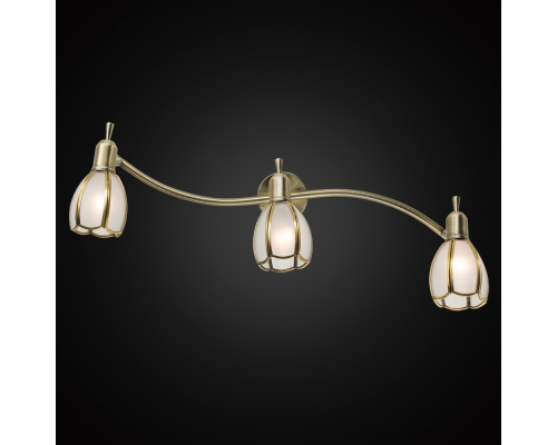 Citilux Альтен-2 CL522631 Спот поворотный с выключателем Бронза