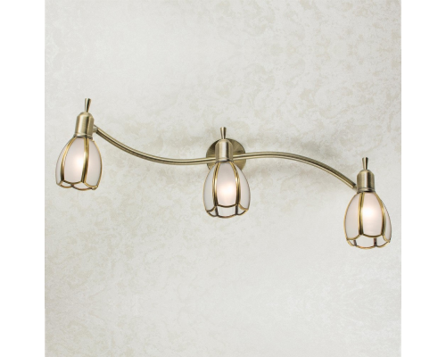 Citilux Альтен-2 CL522631 Спот поворотный с выключателем Бронза