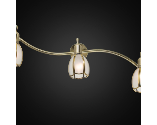 Citilux Альтен-2 CL522631 Спот поворотный с выключателем Бронза