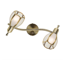 Citilux Альтен-2 CL522621 Спот поворотный с выключателем Бронза