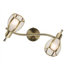 Citilux Альтен-2 CL522621 Спот поворотный с выключателем Бронза