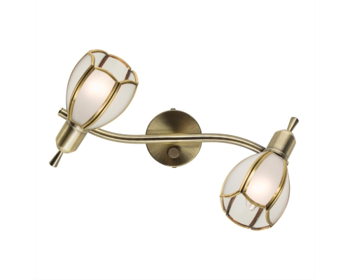 Citilux Альтен-2 CL522621 Спот поворотный с выключателем Бронза