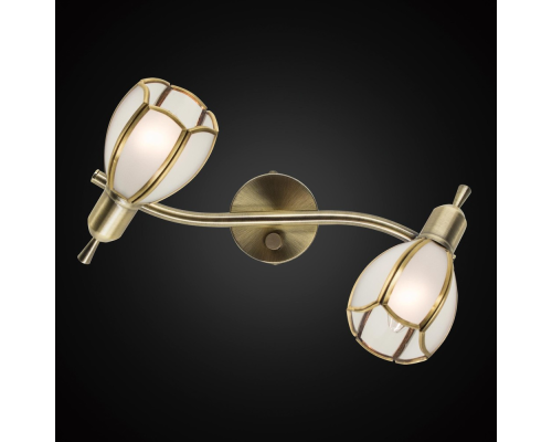 Citilux Альтен-2 CL522621 Спот поворотный с выключателем Бронза