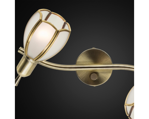 Citilux Альтен-2 CL522621 Спот поворотный с выключателем Бронза