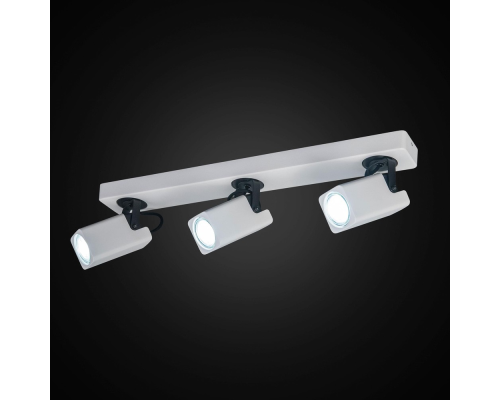 Citilux Норман CL533630 Спот поворотный Белый