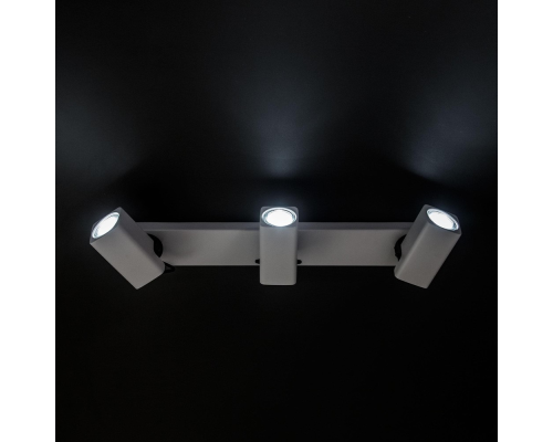 Citilux Норман CL533630 Спот поворотный Белый