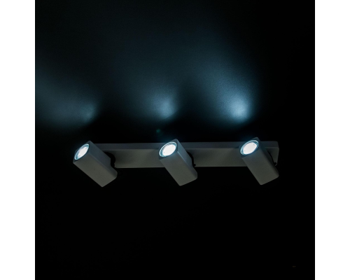 Citilux Норман CL533630 Спот поворотный Белый