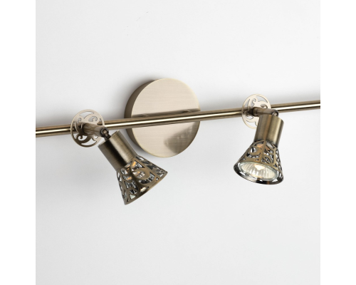 Citilux Винон CL519543 Спот поворотный Бронза