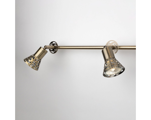 Citilux Винон CL519543 Спот поворотный Бронза