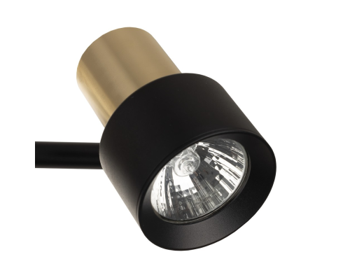 Citilux SAT CL505641 Спот поворотный с выключателем Чёрный+Золото