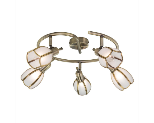 Citilux Альтен-2 CL522651 Спот поворотный Бронза