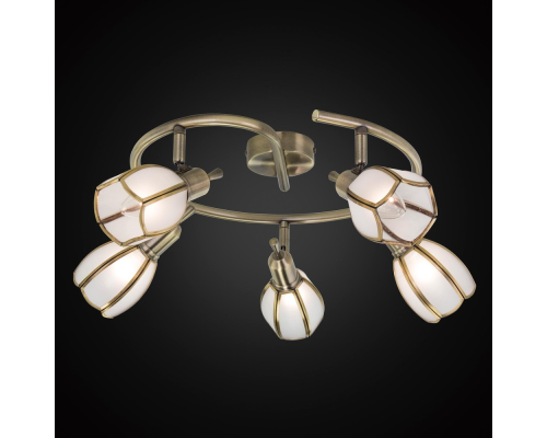 Citilux Альтен-2 CL522651 Спот поворотный Бронза