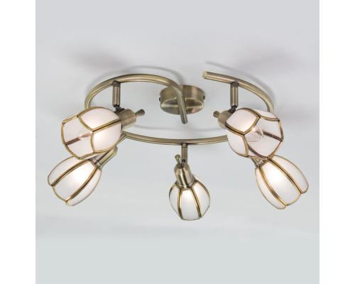 Citilux Альтен-2 CL522651 Спот поворотный Бронза