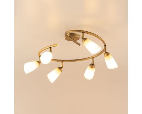 Citilux Белла CL501163 Спот поворотный Бронза