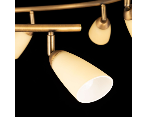 Citilux Белла CL501163 Спот поворотный Бронза