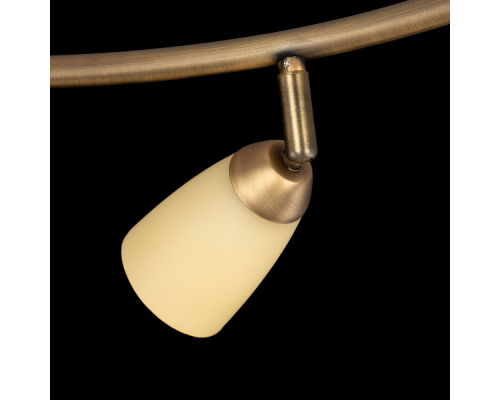 Citilux Белла CL501163 Спот поворотный Бронза