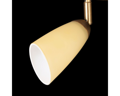 Citilux Белла CL501163 Спот поворотный Бронза