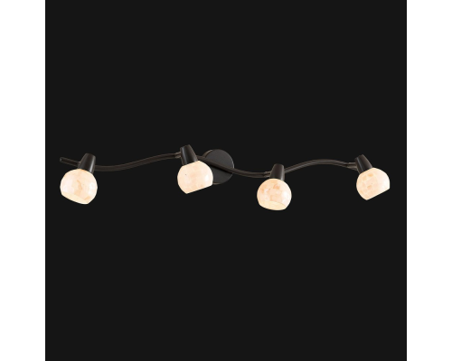 Citilux Соната CL520545 Спот поворотный Венге