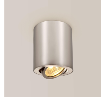 Citilux Дюрен CL538110 Светильник накладной поворотный Алюминий