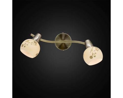 Citilux Соната CL520523 Спот поворотный Бронза