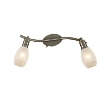 Citilux Мери CL524521 Спот поворотный с выключателем Матовый Хром