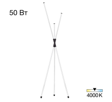 Citilux LUCIA CL217961 Торшер светодиодный Чёрный