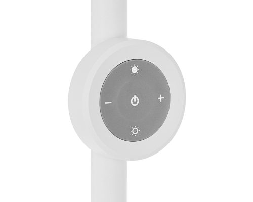 Citilux LOONG CL810030 LED RGB Торшер с пультом Белый