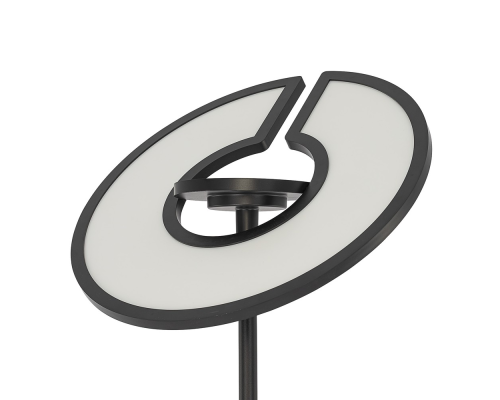 Citilux LOONG CL810031 LED RGB Торшер с пультом Чёрный