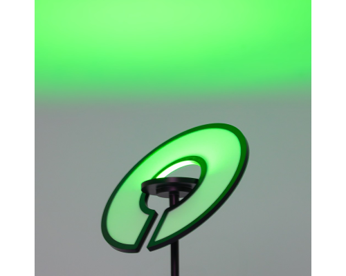 Citilux LOONG CL810031 LED RGB Торшер с пультом Чёрный