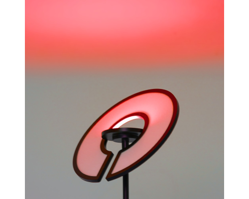 Citilux LOONG CL810031 LED RGB Торшер с пультом Чёрный