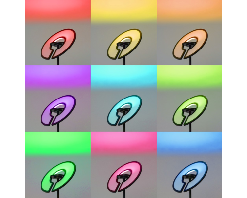 Citilux LOONG CL810031 LED RGB Торшер с пультом Чёрный