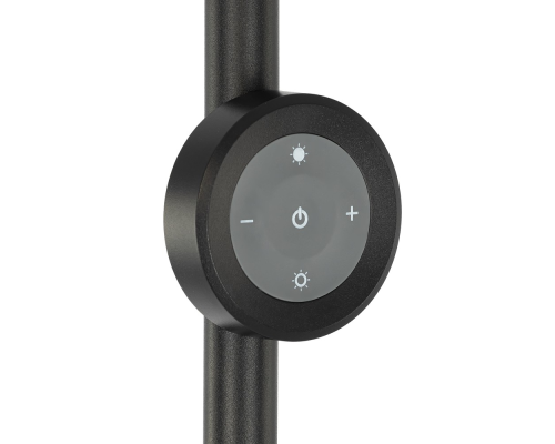 Citilux LOONG CL810031 LED RGB Торшер с пультом Чёрный