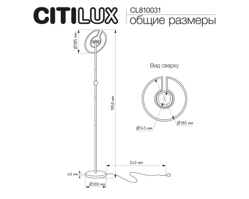 Citilux LOONG CL810031 LED RGB Торшер с пультом Чёрный