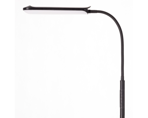 Citilux Alex CL804051 Торшер с пультом Чёрный