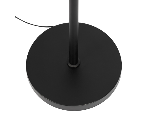 Citilux Alex CL804051 Торшер с пультом Чёрный