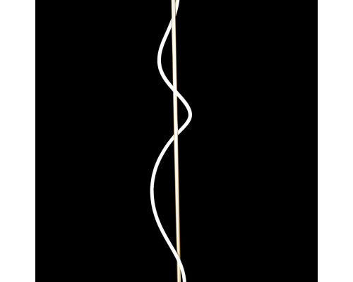 Citilux EVA CL210912 Торшер светодиодный