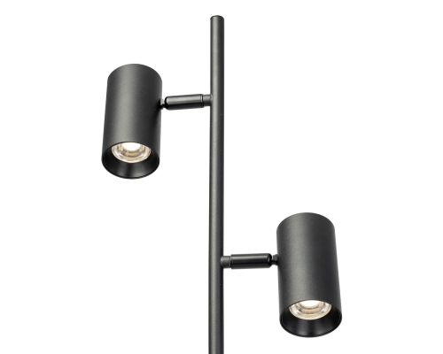 Citilux Twin CL809011N Торшер светодиодный Чёрный