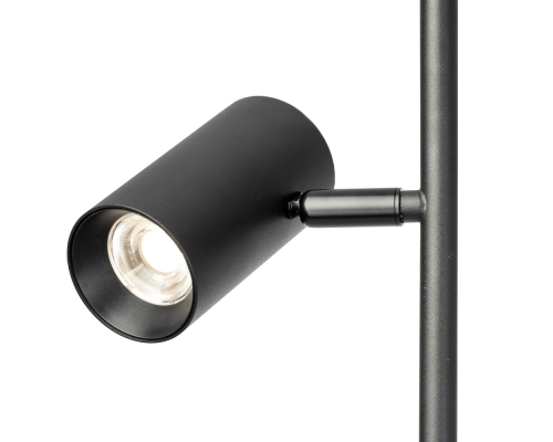 Citilux Twin CL809011N Торшер светодиодный Чёрный