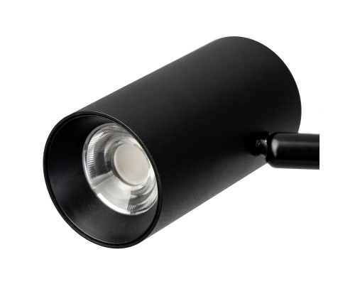 Citilux Twin CL809011N Торшер светодиодный Чёрный