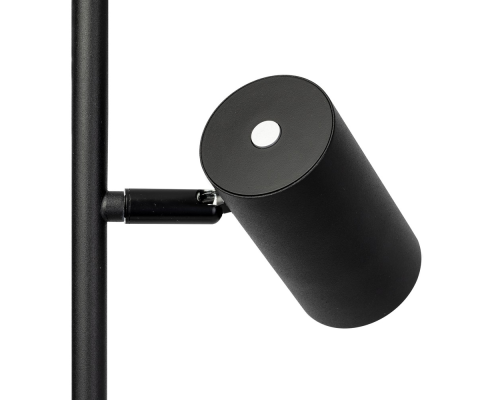 Citilux Twin CL809011N Торшер светодиодный Чёрный