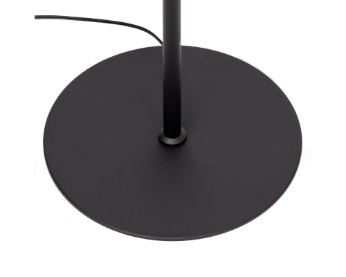 Citilux Twin CL809011N Торшер светодиодный Чёрный