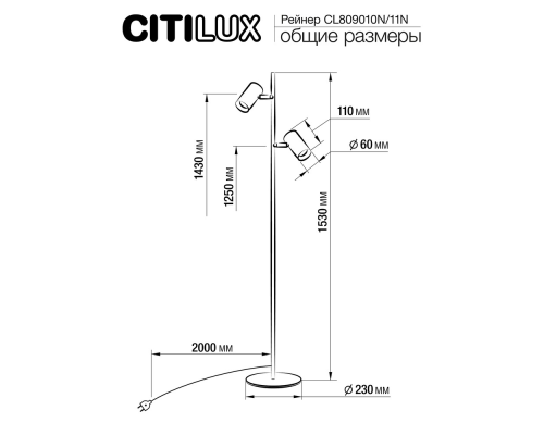 Citilux Twin CL809011N Торшер светодиодный Чёрный
