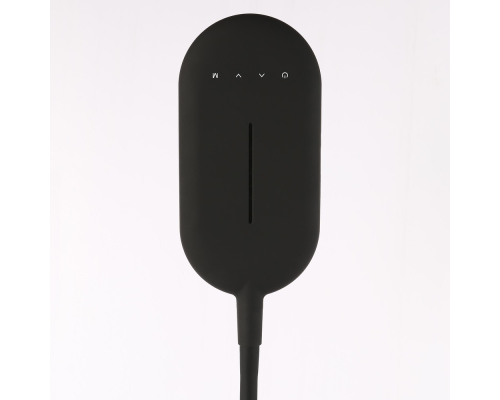 Citilux Леон CL804041 Торшер гибкий светодиодный Чёрный