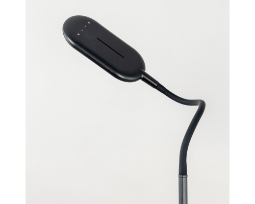 Citilux Леон CL804041 Торшер гибкий светодиодный Чёрный