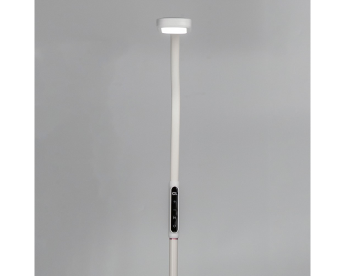 Citilux Марк CL804020 Торшер гибкий светодиодный Белый