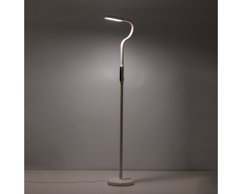 Citilux Марк CL804020 Торшер гибкий светодиодный Белый