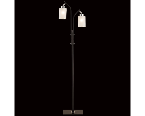 Citilux Фортуна CL156921 Торшер с поворотными плафонами Венге Хром