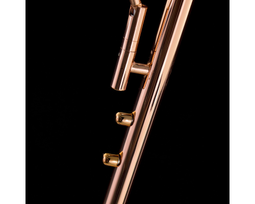 Citilux Дискус CL802005 Торшер светодиодный с диммером Медь