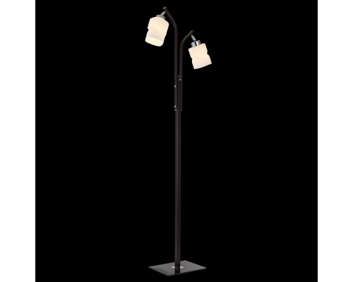 Citilux Берта CL126922 Торшер с поворотными плафонами Венге Хром