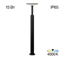 Citilux Dorn CLU05B LED Уличный парковый светильник Графит